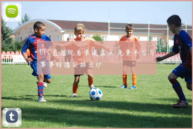 UFC直播观看渠道盘点 免费平台与赛事转播安排出炉
