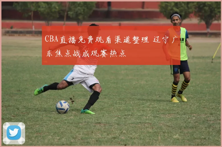 CBA直播免费观看渠道整理 辽宁广东焦点战成观赛热点